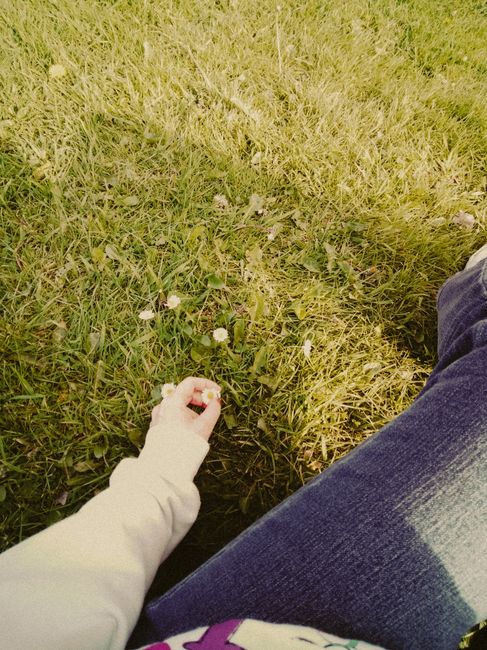 A close-up view of a person sitting on grass at Lordship Recreation Ground South Tottenham, with a small child's hand reaching into a patch of white daisies and green foliage. The person is wearing bl