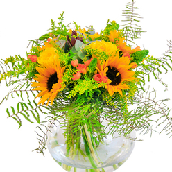 Welcoming you with an embrace of sunlight, this abundant bouquet from South Tottenham's flower artisans exudes exuberance and natural grace. Vivid sunflowers-with their rich saffron petals and textural brown eyes-anchor the composition, their bold faces turned outwards in a gesture of open-hearted joy reminiscent of sunlit mornings near Paignton Park. Nestled nearby, golden-yellow garden roses bloom in sophisticated spirals, their layers unfolding to reveal the subtle charm and lasting fragrance that define classic English gardens. Ribboned throughout, ruby-red clusters of Hypericum berries shimmer against the greenery, infusing the arrangement with a playful note that brings to mind community gatherings on Hermitage Road. The freshness of feathery fern fronds and slender, arching greens frame the bouquet, drawing the eye along organic lines and enhancing a sense of liveliness and motion. Dusty eucalyptus leaves and the fine, yellow flourishes of solidago peek through, adding rustic complexity and tapping into the wild beauty found throughout South Tottenham's hidden green spaces. All is contained in a luminescent, round glass vase-a vessel that magnifies the submerged green stems and the clarity of the water, lending brightness to any setting. The overall impression is of generous celebration-perfect for marking birthdays, anniversaries, or any cherished local event, and suitable for delivery throughout N15. This is a bouquet that embodies happiness and brings a touch of sun-drenched abundance to homes and hearts alike.
